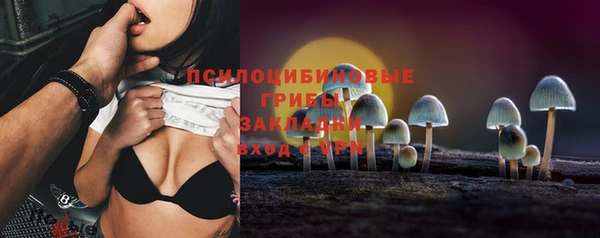 прущие крисы Болхов