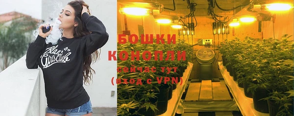 спайс Козловка